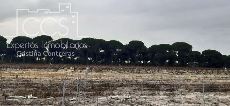 Byggetomt til salgs i Almonte - € 50 000 (Ref: 6732499)