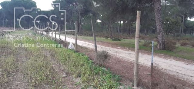 Building Plot for sale in Almonte - € 50,000 (Ref: 6732499)