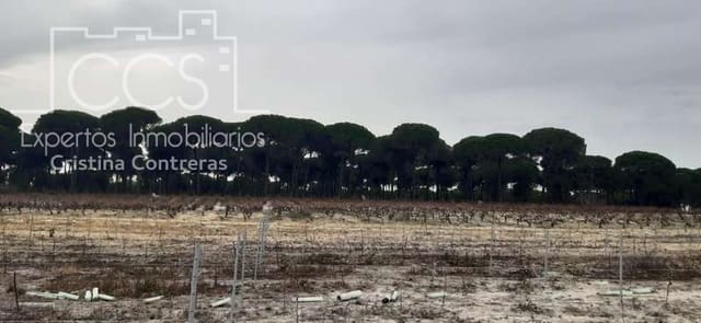 Building Plot for sale in Almonte - € 50,000 (Ref: 6732499)