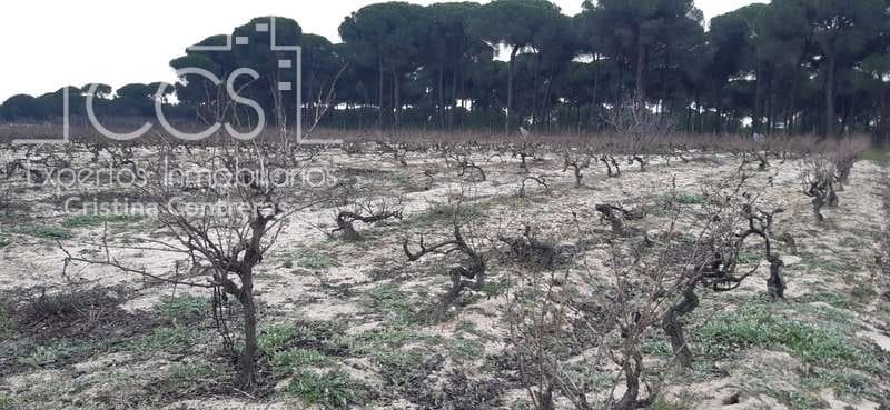 Byggetomt til salgs i Almonte - € 50 000 (Ref: 6732499)