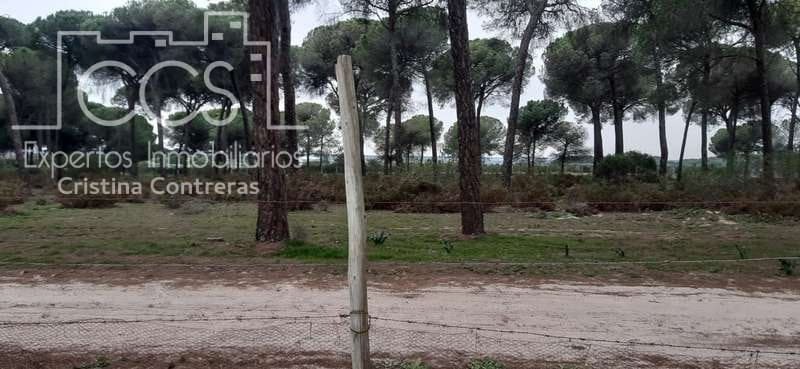 Byggetomt til salgs i Almonte - € 50 000 (Ref: 6732499)