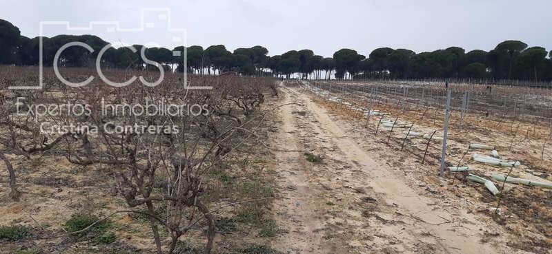 Byggetomt til salgs i Almonte - € 50 000 (Ref: 6732499)