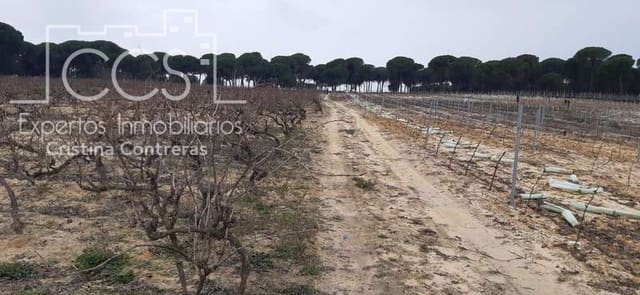Area Edificabile in vendita in Almonte - 50.000 € (Rif: 6732499)