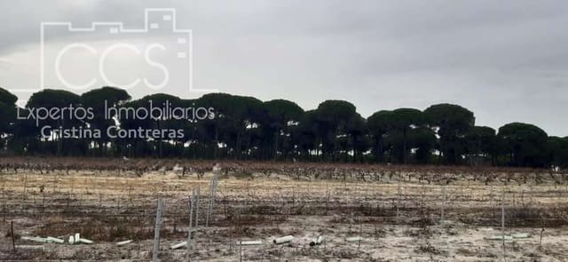 Area Edificabile in vendita in Almonte - 50.000 € (Rif: 6732499)