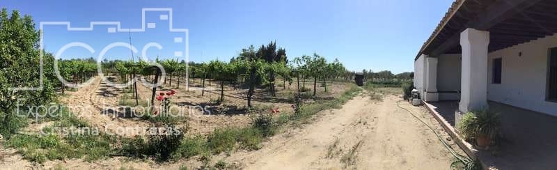 2 chambre Finca/Maison de Campagne à vendre à Almonte - 179 500 € (Ref: 6840829)