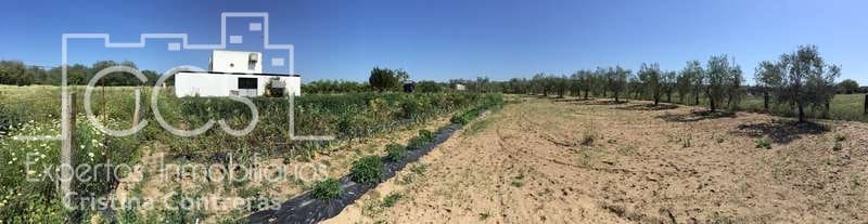 2 chambre Finca/Maison de Campagne à vendre à Almonte - 179 500 € (Ref: 6840829)