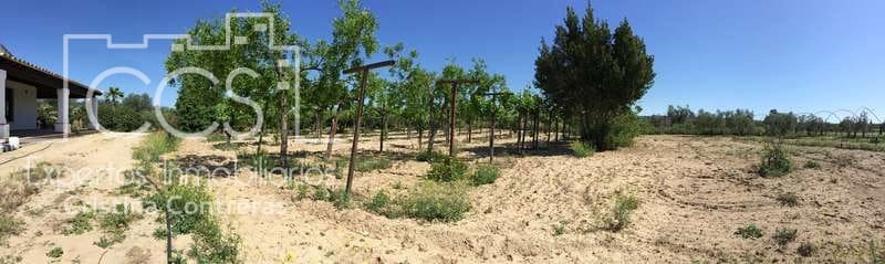 2 chambre Finca/Maison de Campagne à vendre à Almonte - 179 500 € (Ref: 6840829)