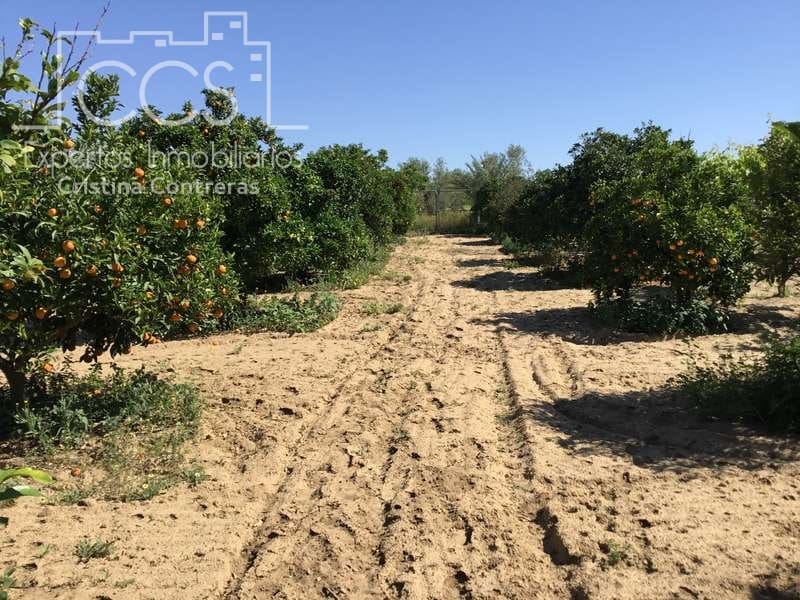 2 chambre Finca/Maison de Campagne à vendre à Almonte - 179 500 € (Ref: 6840829)