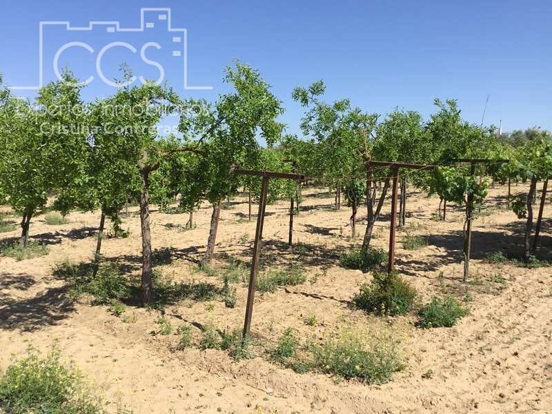 2 chambre Finca/Maison de Campagne à vendre à Almonte - 179 500 € (Ref: 6840829)