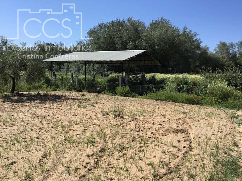 2 chambre Finca/Maison de Campagne à vendre à Almonte - 179 500 € (Ref: 6840829)