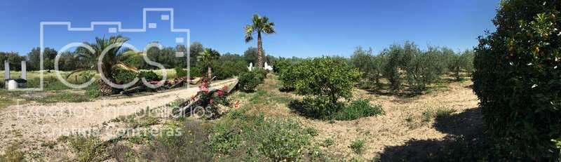 2 chambre Finca/Maison de Campagne à vendre à Almonte - 179 500 € (Ref: 6840829)