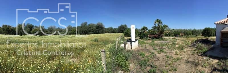 2 chambre Finca/Maison de Campagne à vendre à Almonte - 179 500 € (Ref: 6840829)