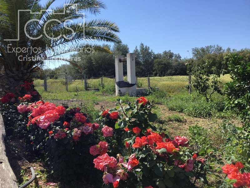 2 chambre Finca/Maison de Campagne à vendre à Almonte - 179 500 € (Ref: 6840829)