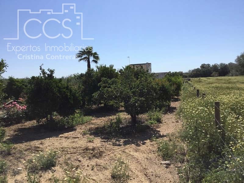 2 chambre Finca/Maison de Campagne à vendre à Almonte - 179 500 € (Ref: 6840829)