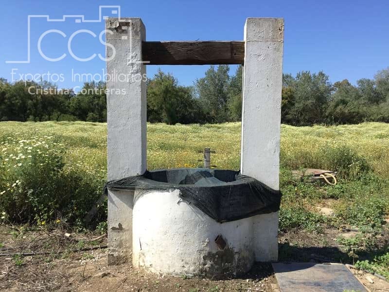 2 chambre Finca/Maison de Campagne à vendre à Almonte - 179 500 € (Ref: 6840829)