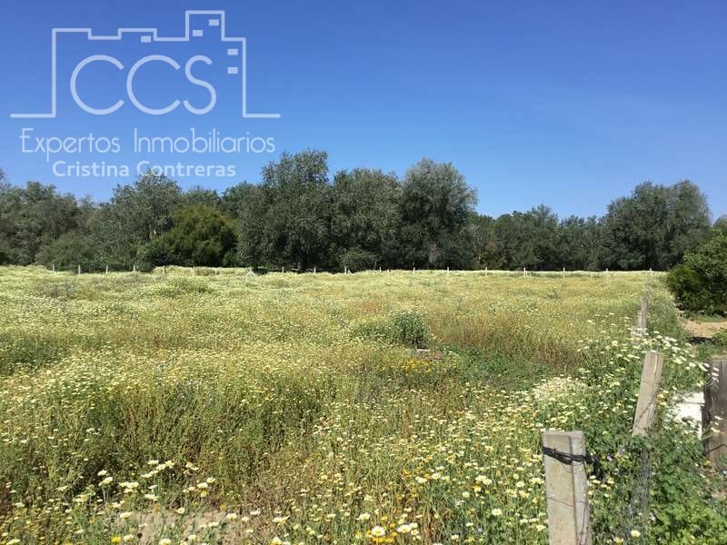 2 chambre Finca/Maison de Campagne à vendre à Almonte - 179 500 € (Ref: 6840829)