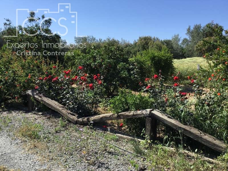 2 chambre Finca/Maison de Campagne à vendre à Almonte - 179 500 € (Ref: 6840829)