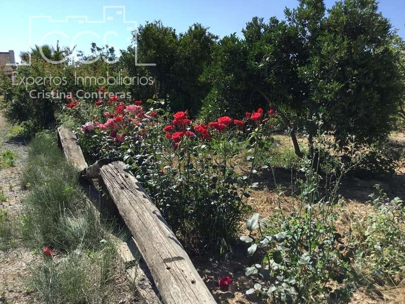 2 chambre Finca/Maison de Campagne à vendre à Almonte - 179 500 € (Ref: 6840829)