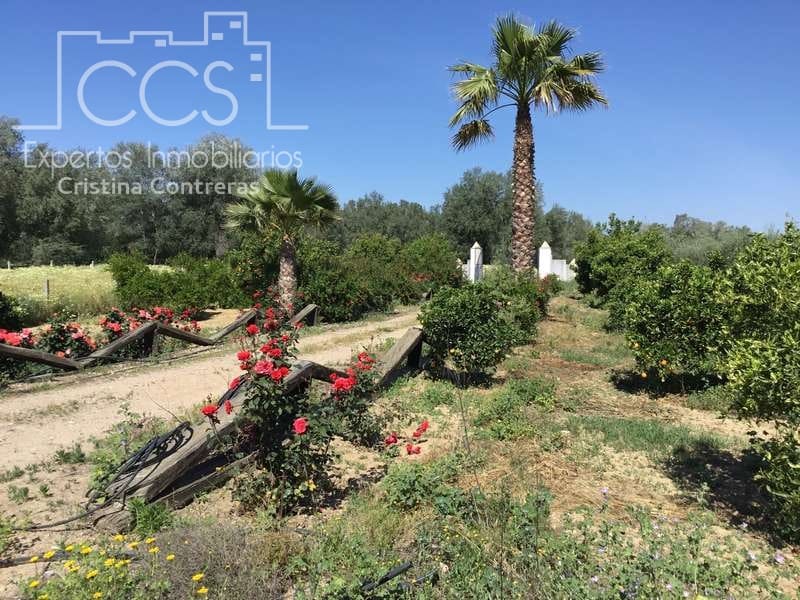 2 chambre Finca/Maison de Campagne à vendre à Almonte - 179 500 € (Ref: 6840829)