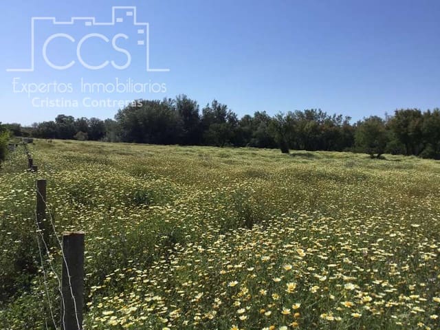 2 bedroom Finca/Country House for sale in Almonte - € 179,500 (Ref: 6840829)