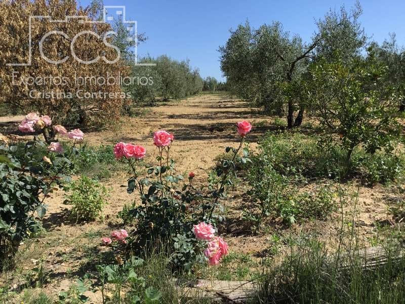 2 chambre Finca/Maison de Campagne à vendre à Almonte - 179 500 € (Ref: 6840829)