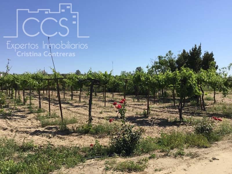 2 chambre Finca/Maison de Campagne à vendre à Almonte - 179 500 € (Ref: 6840829)