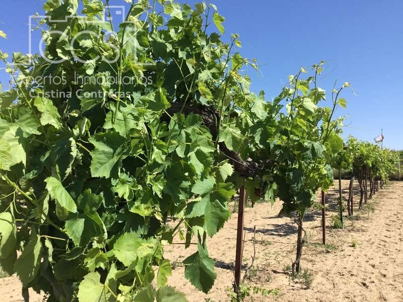 2 chambre Finca/Maison de Campagne à vendre à Almonte - 179 500 € (Ref: 6840829)