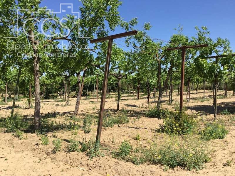 2 chambre Finca/Maison de Campagne à vendre à Almonte - 179 500 € (Ref: 6840829)