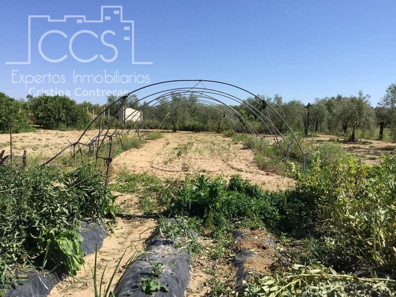 2 chambre Finca/Maison de Campagne à vendre à Almonte - 179 500 € (Ref: 6840829)