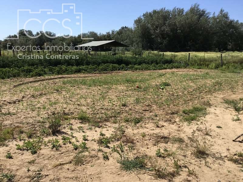 2 chambre Finca/Maison de Campagne à vendre à Almonte - 179 500 € (Ref: 6840829)