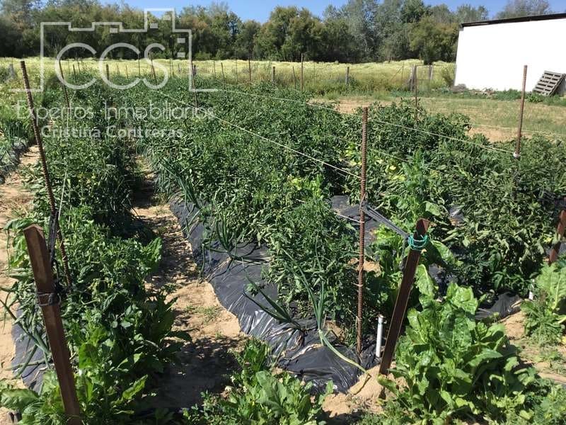 2 chambre Finca/Maison de Campagne à vendre à Almonte - 179 500 € (Ref: 6840829)