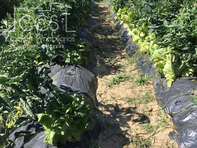 2 chambre Finca/Maison de Campagne à vendre à Almonte - 179 500 € (Ref: 6840829)