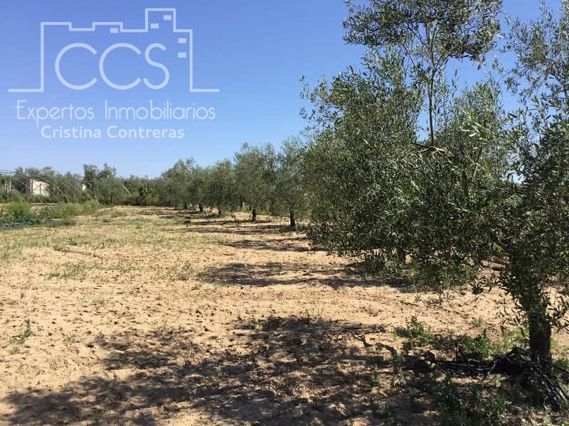 2 chambre Finca/Maison de Campagne à vendre à Almonte - 179 500 € (Ref: 6840829)