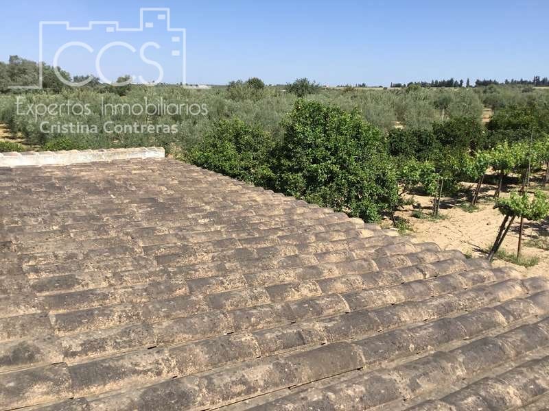 2 chambre Finca/Maison de Campagne à vendre à Almonte - 179 500 € (Ref: 6840829)