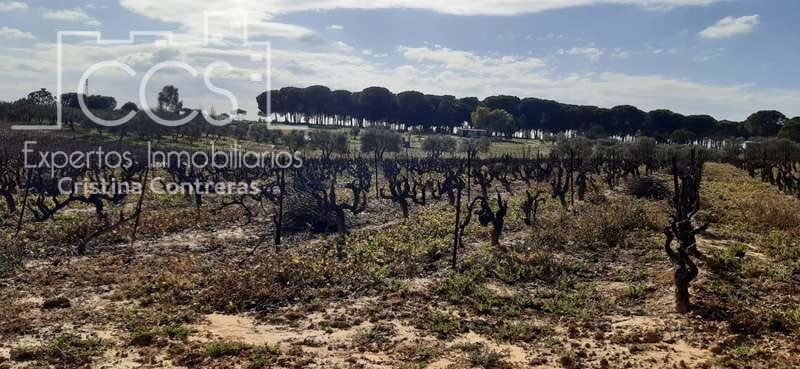 Byggegrund til salg i Almonte - € 24.000 (Ref: 6901043)