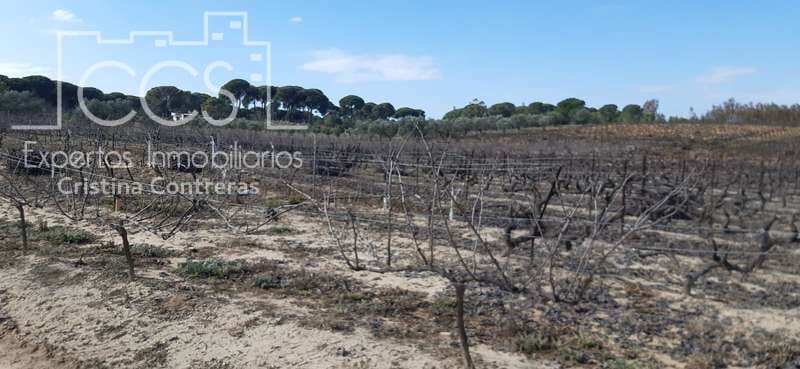 Byggegrund til salg i Almonte - € 24.000 (Ref: 6901043)