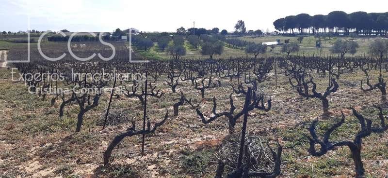 Byggegrund til salg i Almonte - € 24.000 (Ref: 6901043)