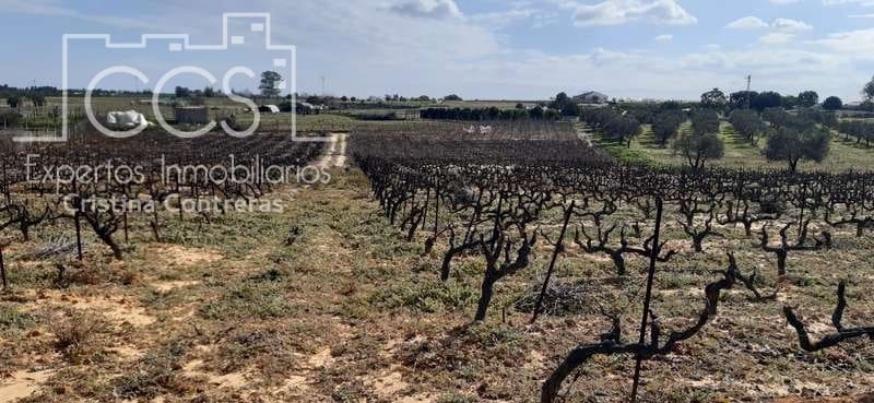 Byggegrund til salg i Almonte - € 24.000 (Ref: 6901043)