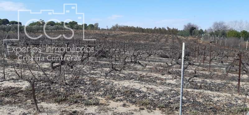 Byggegrund til salg i Almonte - € 24.000 (Ref: 6901043)