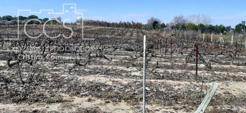 Byggegrund til salg i Almonte - € 24.000 (Ref: 6901043)