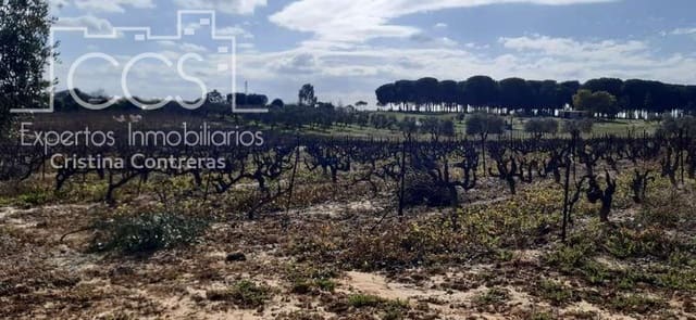 Tontti myytävänä paikassa Almonte - 24 000 € (Ref: 6901043)