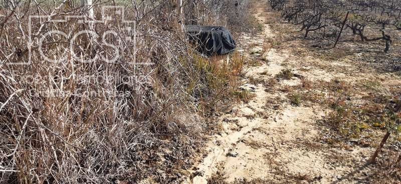 Byggegrund til salg i Almonte - € 24.000 (Ref: 6901043)