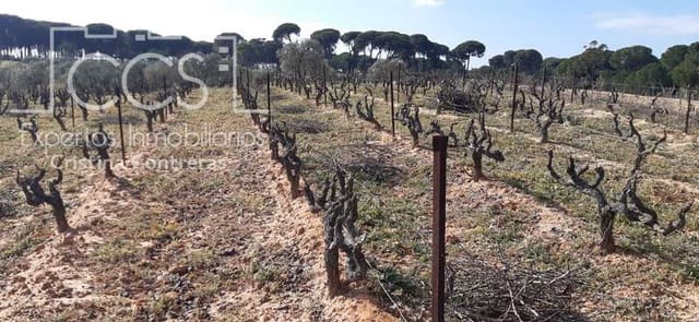 Tontti myytävänä paikassa Almonte - 24 000 € (Ref: 6901043)