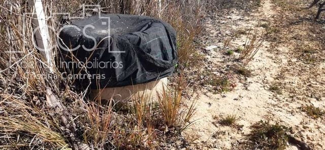 Tontti myytävänä paikassa Almonte - 24 000 € (Ref: 6901043)