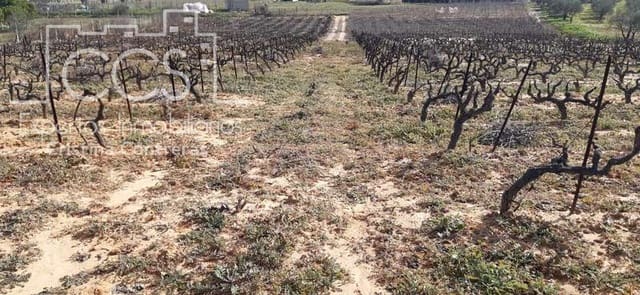 Tontti myytävänä paikassa Almonte - 24 000 € (Ref: 6901043)