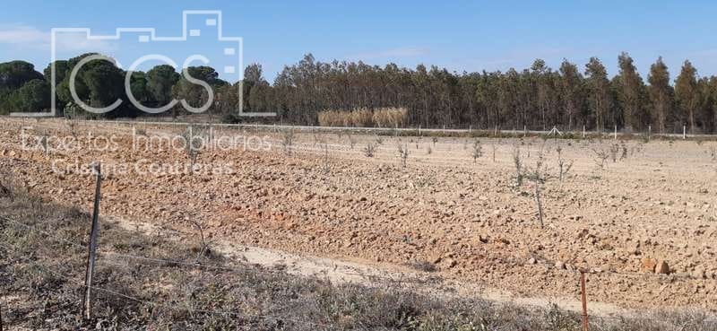 Terrain à Bâtir à vendre à Almonte - 24 000 € (Ref: 6901043)