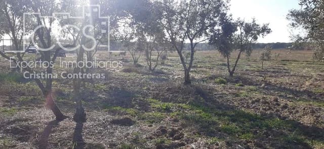 Byggegrund til salg i Almonte - € 20.000 (Ref: 6905618)