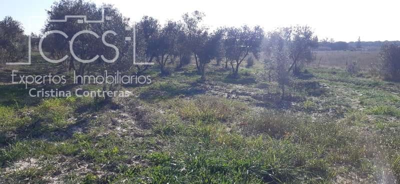 Byggegrund til salg i Almonte - € 20.000 (Ref: 6905618)