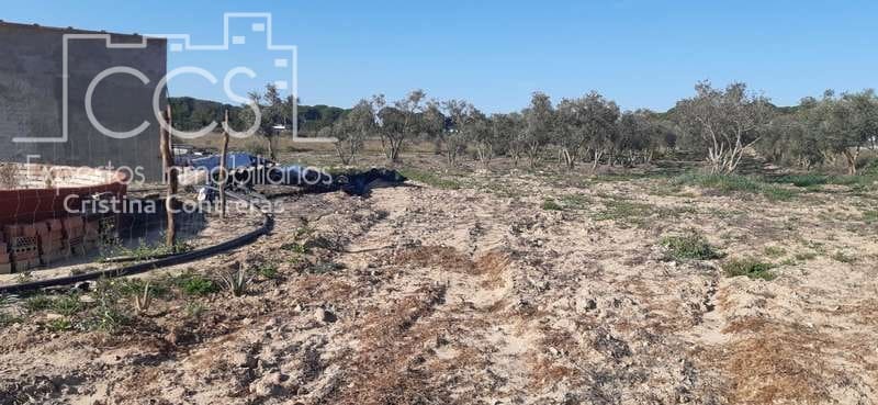 Byggegrund til salg i Almonte - € 20.000 (Ref: 6905618)