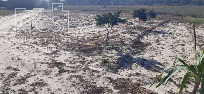 Byggegrund til salg i Almonte - € 20.000 (Ref: 6905618)